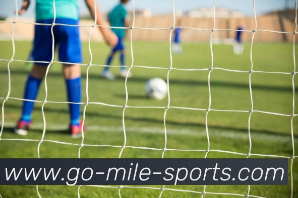 数据防护可视化